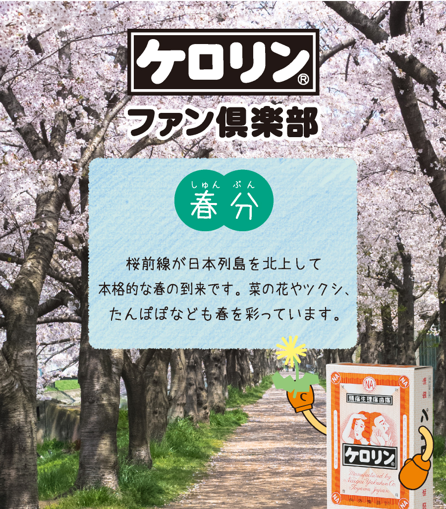 春分（3月21日〜4月3日）：桜前線が日本列島を北上して本格的な春の到来です。菜の花やツクシ、たんぽぽなども春を彩っています。