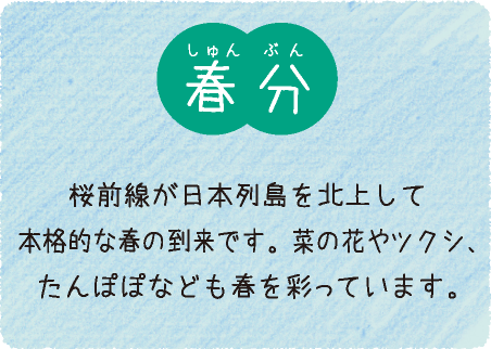 春分（3月21日〜4月3日）：桜前線が日本列島を北上して本格的な春の到来です。菜の花やツクシ、たんぽぽなども春を彩っています。